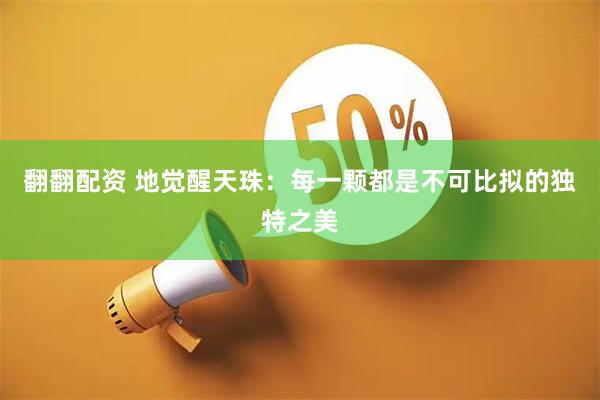 翻翻配资 地觉醒天珠：每一颗都是不可比拟的独特之美